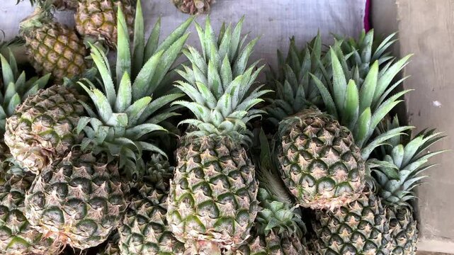 pineapple on the market