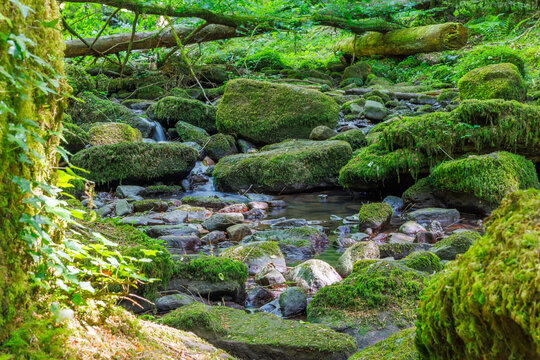 Moosiger Stream in the idyllic Monbach Valley