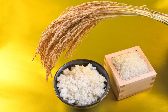 金色背景の枡に盛った米と茶碗のご飯と稲穂
