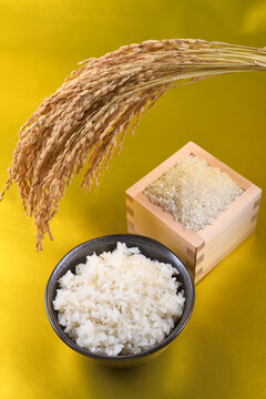 金色背景の枡に盛った米と茶碗のご飯と稲穂
