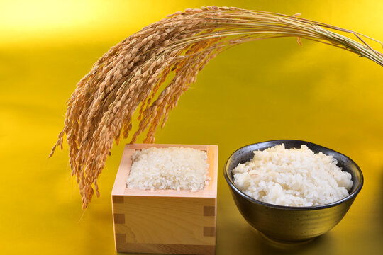 金色背景の枡に盛った米と茶碗のご飯と稲穂
