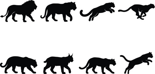 Wild big cats black silhouette vector set featuring lion tiger leopard cheetah and lynx predators © Md