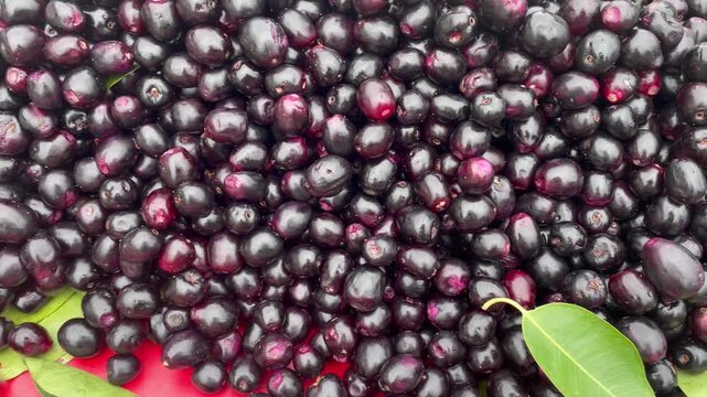 Fresh ripe jamun fruit pile background with green leaves blackplum syzygium