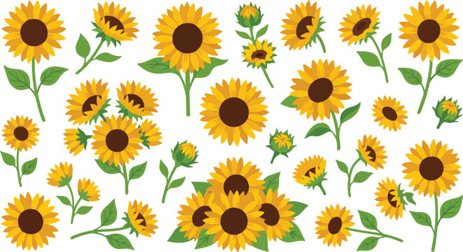 Vibrant sunflower floral pattern