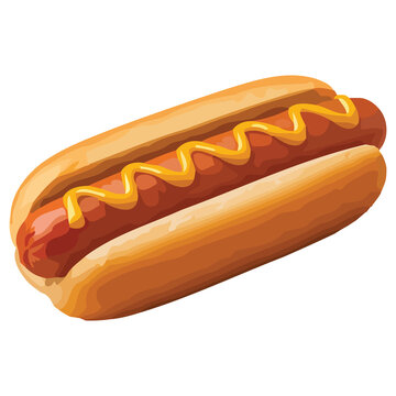 Hot Dog with Mustard and Ketchup in a Bun Isolated on White Background