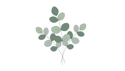 Obraz premium Minimalist bouquet of green eucalyptus branches features elegant rounded leaves in soft shades of sage and dark green.