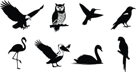 Set of wild bird silhouettes including eagle owl hummingbird crow flamingo pelican swan and parrot vector illustration © urmilarani