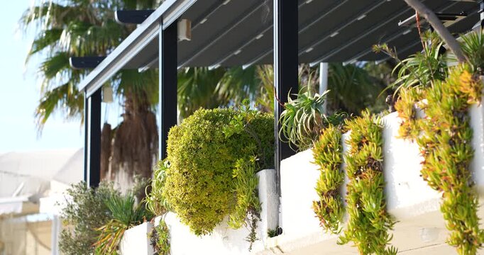 Building exterior with plants on the facade	