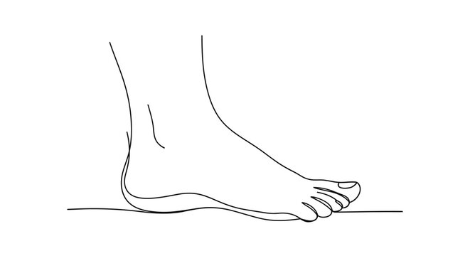 Clean line drawing of human foot resting on floor.