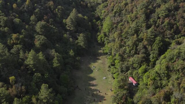Plain Open Ground Between Dense Jungle Trees | Aerial Drone View