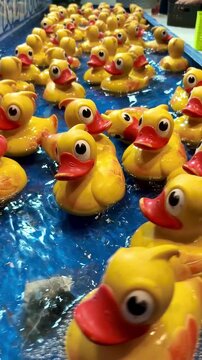 Patitos de feria para pescar con ca&ntilde;a y premio 