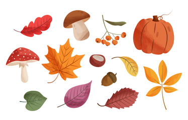 Autumn elements set with watercolor texture, leaves, mushrooms, pumpkin, acorn and berries. Cute fall seasonal vector illustration collection © Vita
