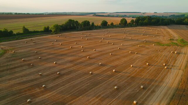 Golden brown farm fields filled with scattered hay bales and bordered by green trees in the distance.