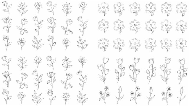 Floral ornament collection a monochrome vector illustration featuring various flower and leaf arrangements botanical blossom bud