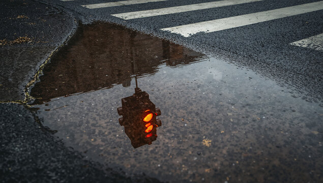豪雨後の冠水した道路で信号機が水たまりに映る記録風景