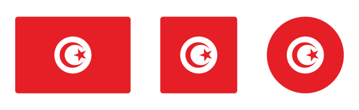 Tunisia flag icon with rectangle square and circle vector illustration