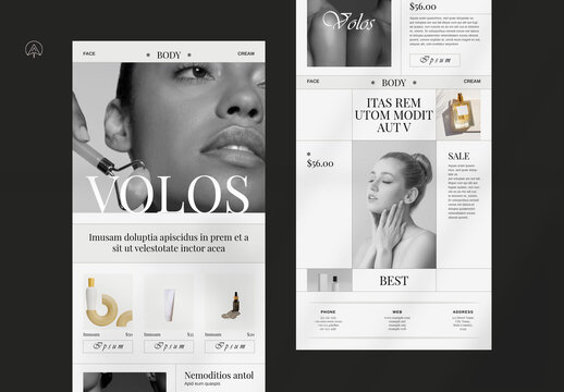Email Newsletter Design Template
