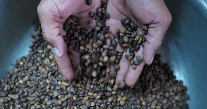 Roasted coffee beans are falling from a farmer's hand; the farmer is inspecting the beans.