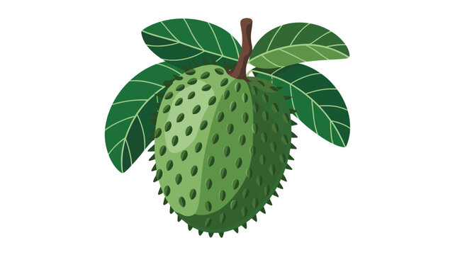 Single green soursop fruit with broad dark leaves, isolated on a white surface for tropical produce photography, healthy eating concepts, and botanical ingredient displays.