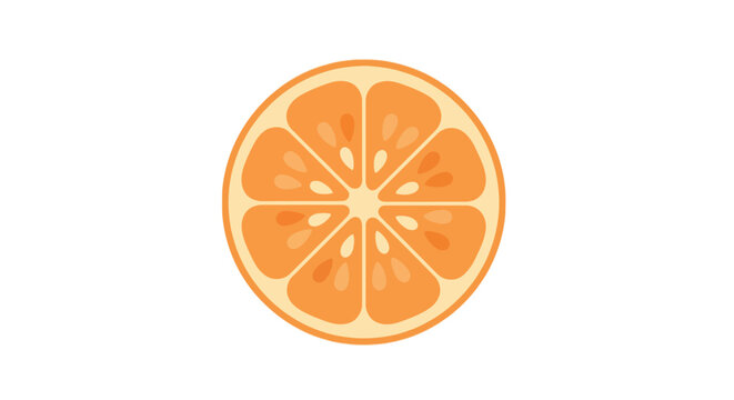 orange slice cross section vector illustration