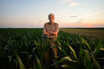 An elderly man stands with crossed arms in a cornfield during sunset. The sky shows colors of orange and pink as daytime ends. Rows of corn surround him under clear skies. © Videophilia
