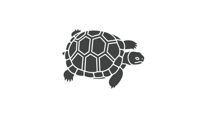 Turtle Shell Reptile Animal Side View.