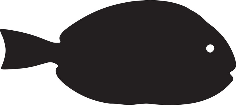 black and white fish