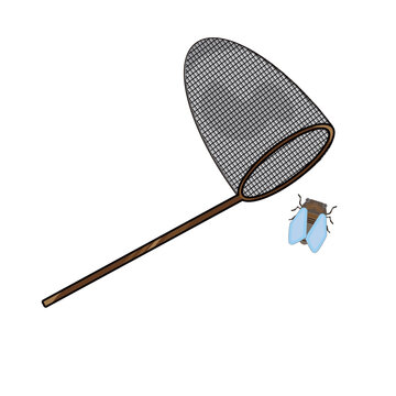 Title: Insect net and (TBD bug), summer bug catching flat vector illustration
