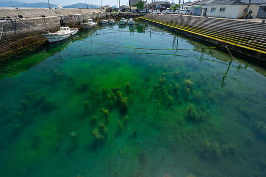 山口県祝島、干潮の港