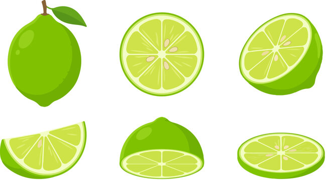 Green custard apple fruit vector illustration set with detailed texture