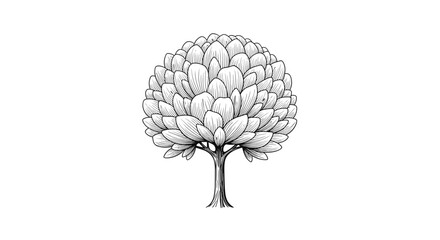 Detailed black and white sketch of a round lush tree with many leaves and a sturdy trunk stands on a white background. © MD