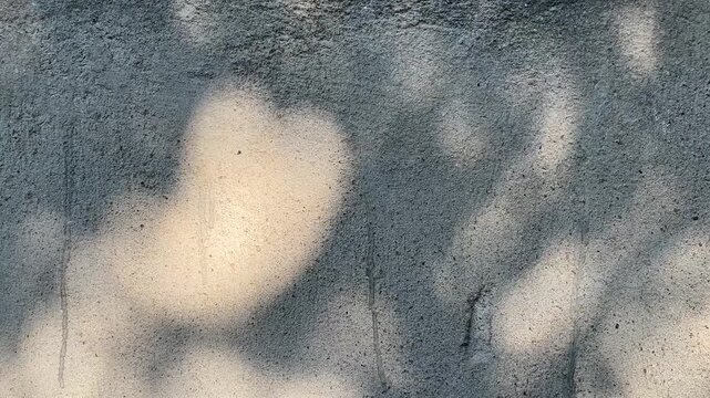 Sunlit shadows of tree leaves and branches gently swaying in the breeze, creating an abstract, moving pattern on a textured concrete wall