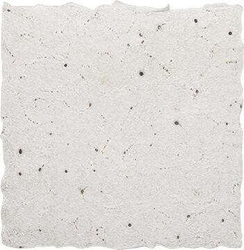 Handmade white seed paper with rough edges isolated on transparent background