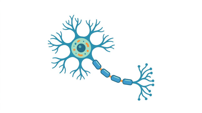 Illustration of a biological neuron cell structure with dendrites and axon.
