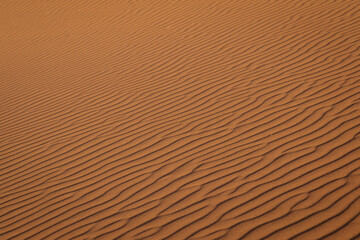 desert sand texture background © Mark Butler 