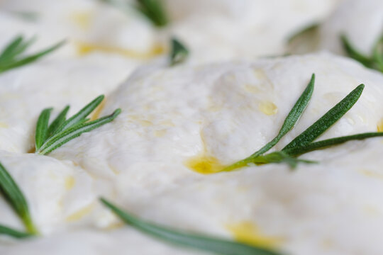 Macro close-up of naturally fermented sourdough focaccia dough topped with fresh rosemary and olive oil. Concept traditional bread making, homemade baking, and natural leavening techniques