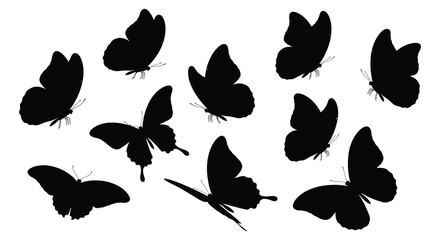 Black Butterfly Silhouettes On White Background Collection Of Insect Shapes © Safia512