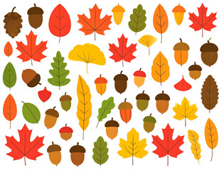 Fototapeta premium Assorted Autumn Botanical and Nature Symbols in Doodle Style 