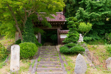 Fototapeta premium Ancient Temple Gate Hidden in Fresh Green Foliage in Rural Yamagata Japan During Early Summer