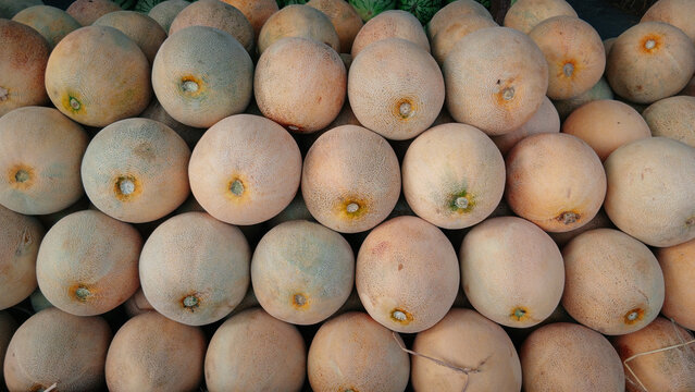 Close up of stacked ripe rockmelons showing detailed netted rind texture