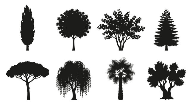 Set of black tree silhouettes showing different shapes and varieties including pine, willow, and olive trees