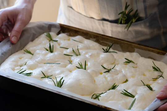 Unrecognizable female's hands are placing fresh rosemary leaves on top of dough in a tray. The dough is soft and bubbly. Traditional preparation of Italian flat bread