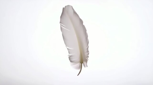 Feather white light soft gentle delicate floating peace lightness serenity