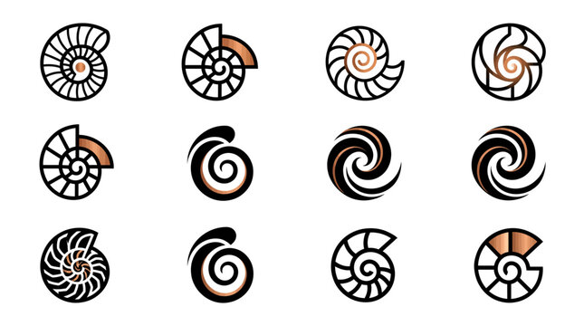 A diverse collection of spiral and shell-like designs, featuring ammonite and nautilus forms with abstract swirls.