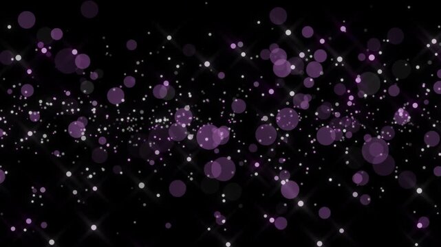 丸とキラキラ星 紫 パターン01-b ループ 5秒（透過背景）