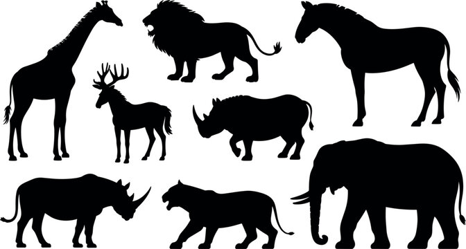 Collection of wild animal silhouettes including elephant lion giraffe zebra rhinoceros and deer isolated on white background vector illustration design.