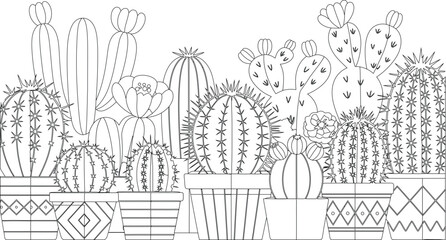 Obraz premium Diverse collection of potted cacti and succulents in various decorative planters showcasing desert flora