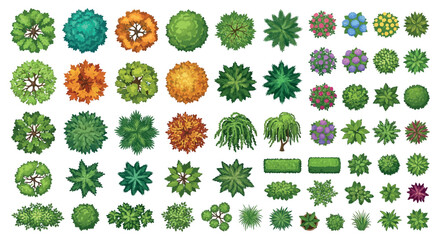 Top down View Trees And Shrubs Colorful Vector Illustration On White © PROMA