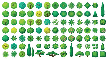 Top down View Trees And Bushes Vector Illustration On White Background © PROMA