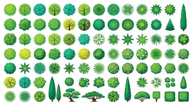 Top down View Trees And Bushes Vector Illustration On White Background